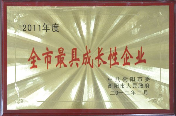 2011���ȫ����߳ɳ�����ҵ