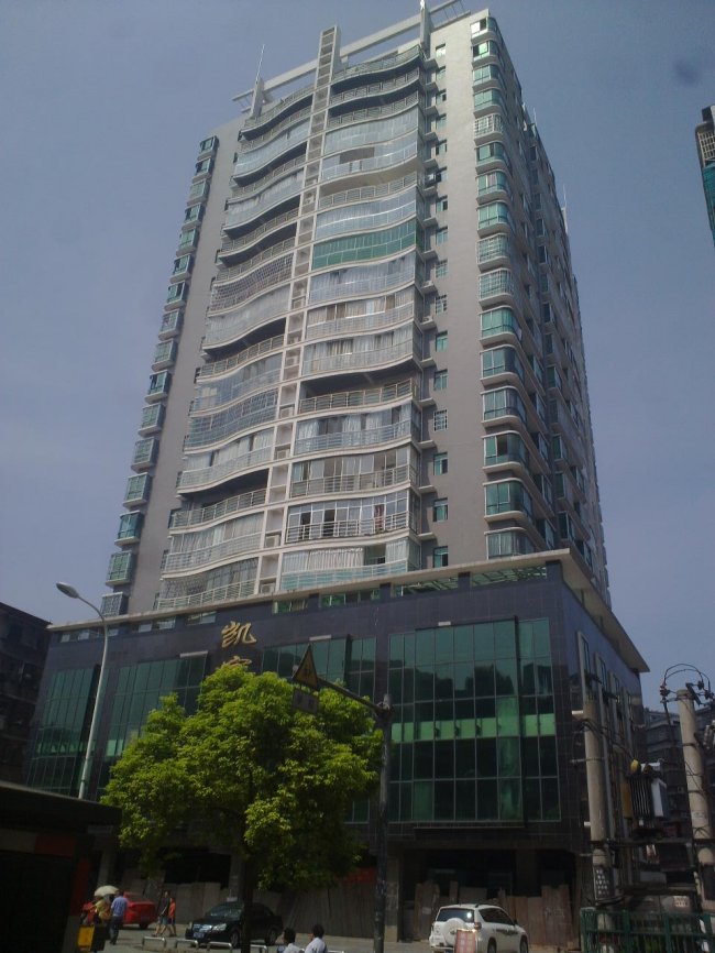 ������Ҷ